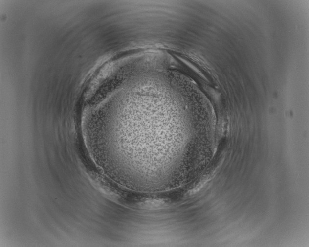 X0000076310256200610161626