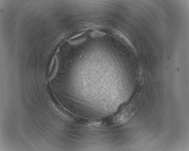 X0000076310257200610161626