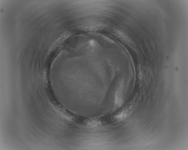 X0000076310258200610161626