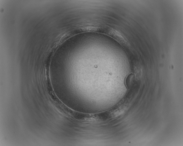 X0000076310259200610161626