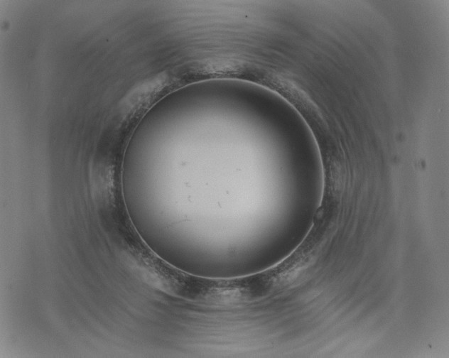 X0000076310260200610161626