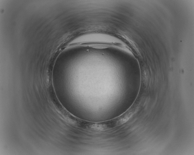 X0000076310261200610161626