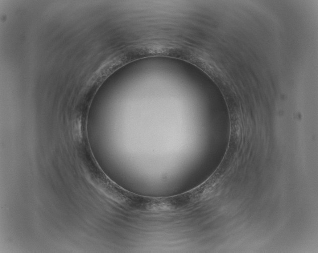 X0000076310262200610161626