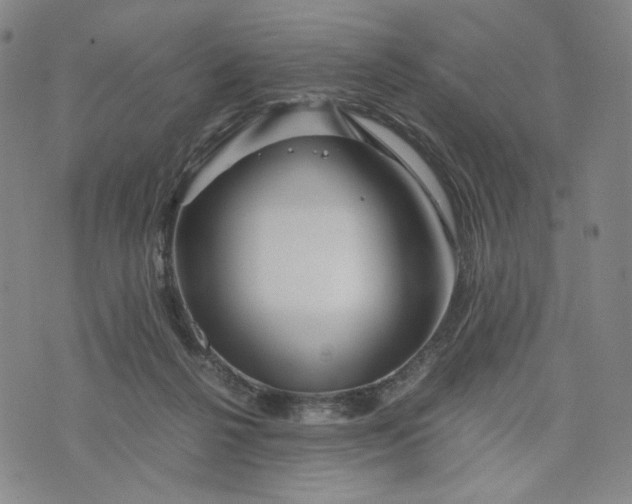 X0000076310264200610161626