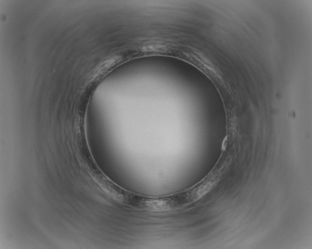 X0000076310265200610161626