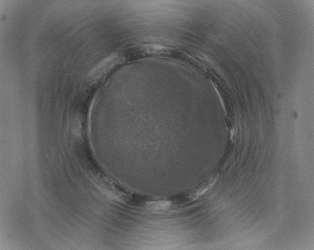 X0000076310266200610161626