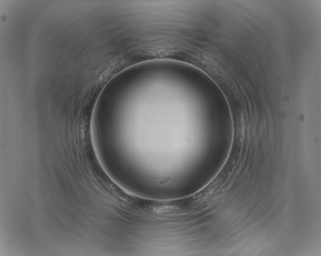 X0000076310268200610161626