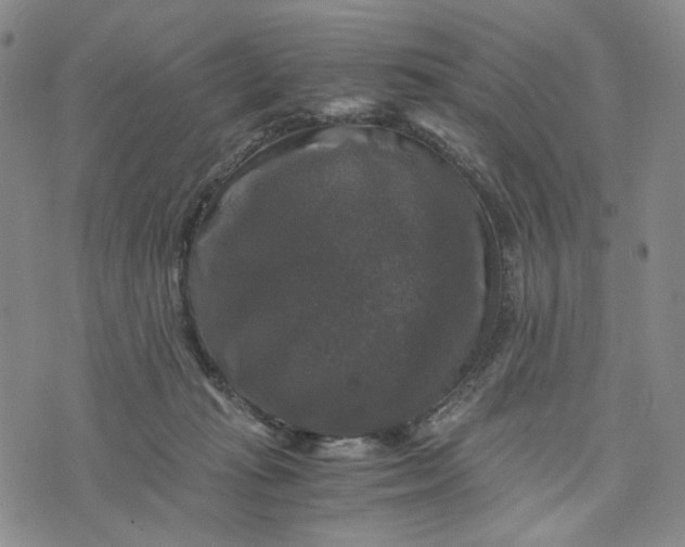 X0000076310269200610161626