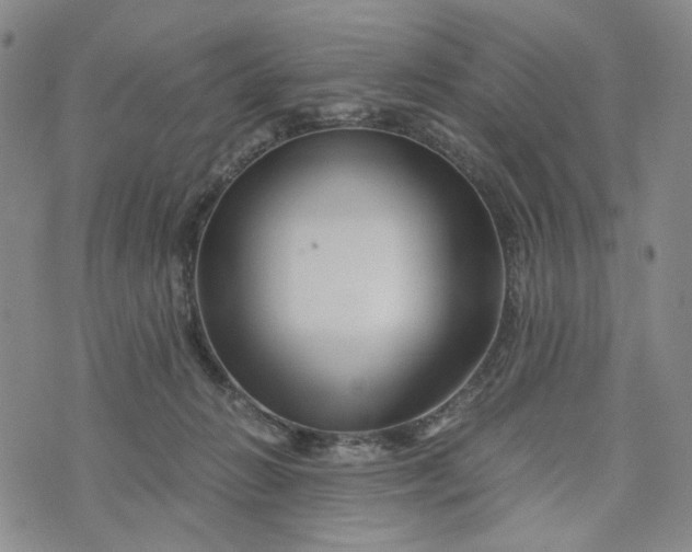 X0000076310270200610161626