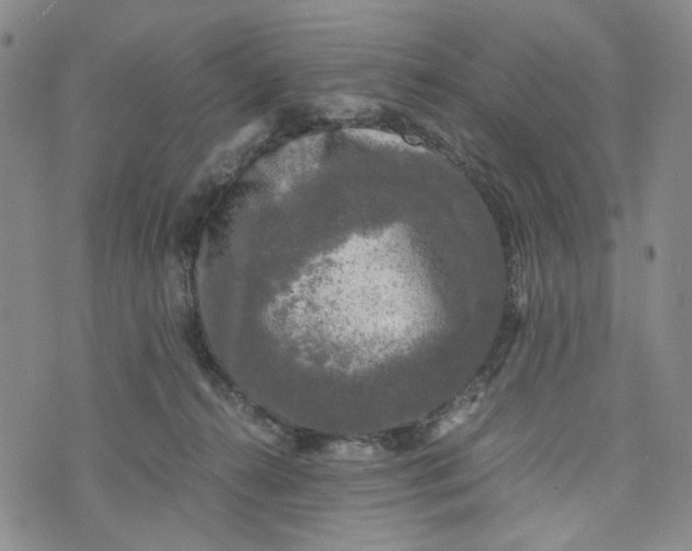 X0000076310272200610161626