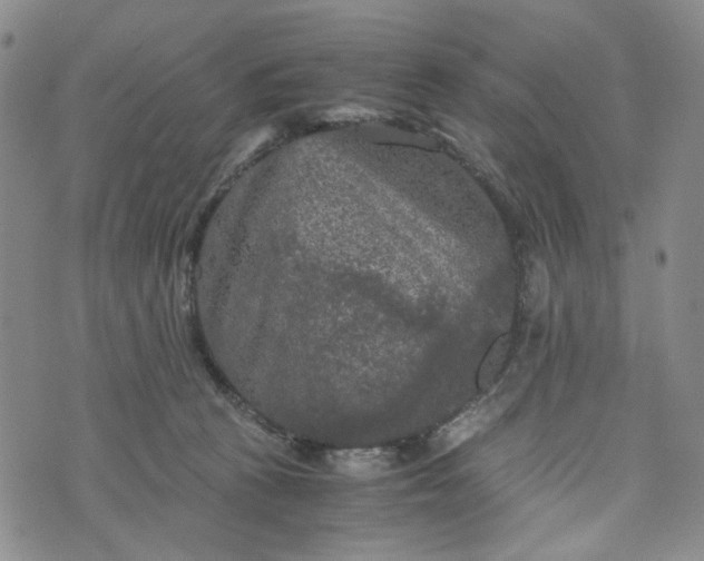 X0000076310273200610161626