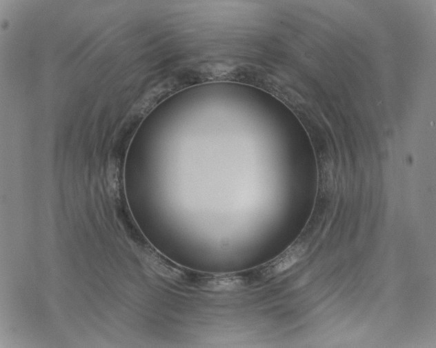 X0000076310274200610161626