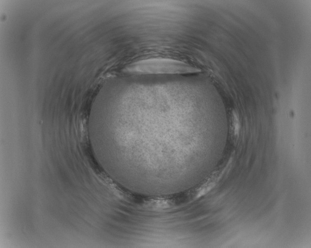 X0000076310276200610161626