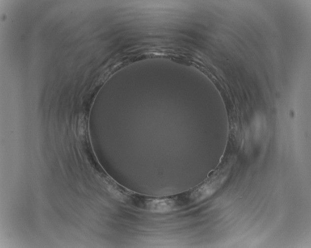 X0000076310277200610161626