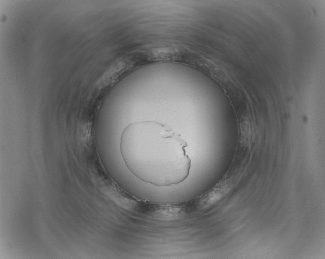 X0000076310278200610161626