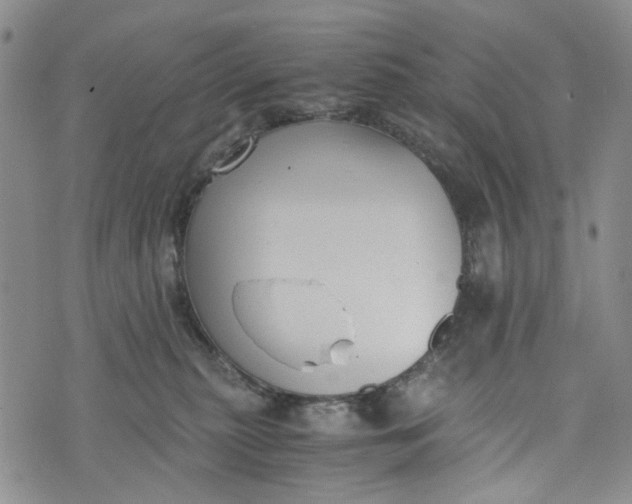 X0000076310279200610161626