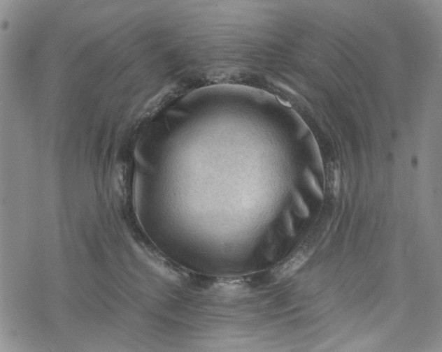 X0000076310280200610161626