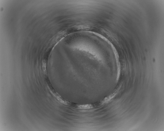 X0000076310281200610161626