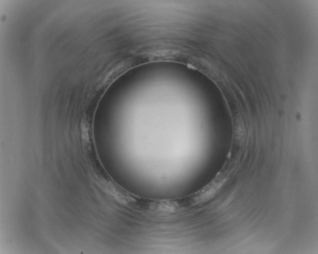 X0000076310282200610161626