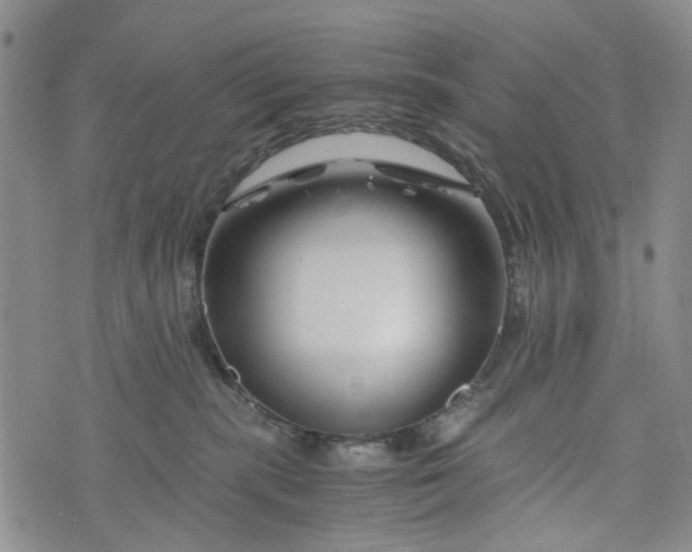 X0000076310283200610161626