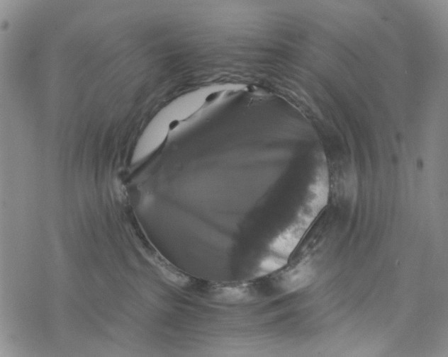 X0000076310285200610161626