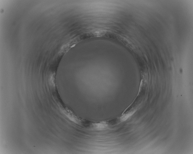 X0000076310286200610161626