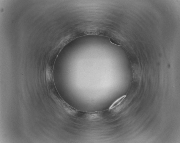 X0000076310287200610161626