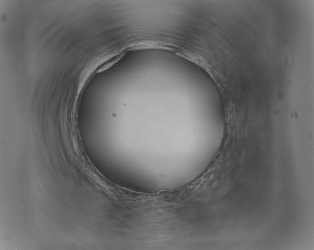 X0000076310289200610161626