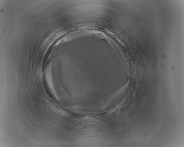 X0000076310290200610161626