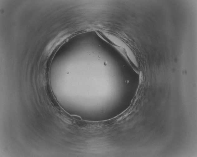 X0000076310291200610161626