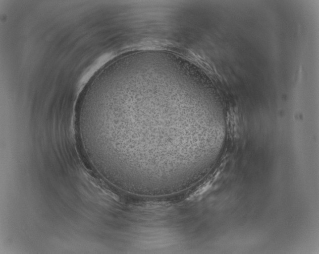 X0000076310292200610161626