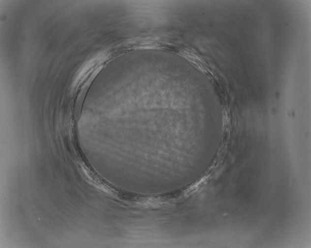 X0000076310293200610161626