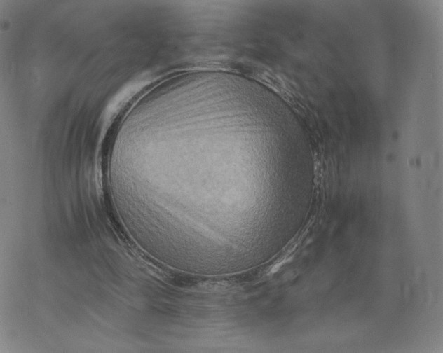 X0000076310294200610161626