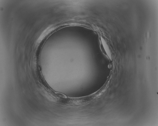 X0000076310295200610161625