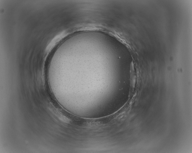 X0000076310296200610161625