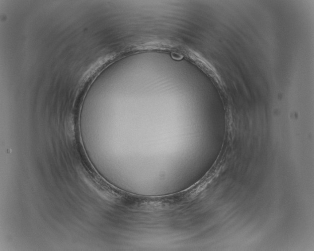 X0000076310298200610161625