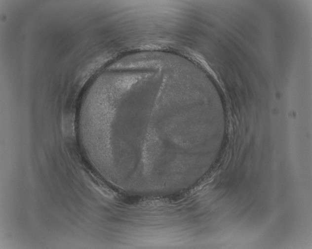 X0000076310299200610161625