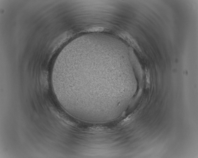 X0000076310300200610161625