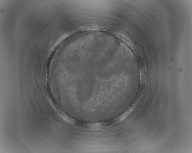 X0000076310301200610161625