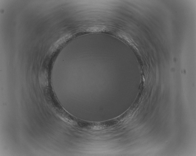 X0000076310303200610161625