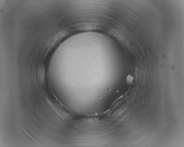 X0000076310304200610161625