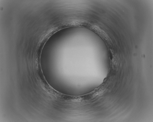 X0000076310306200610161625