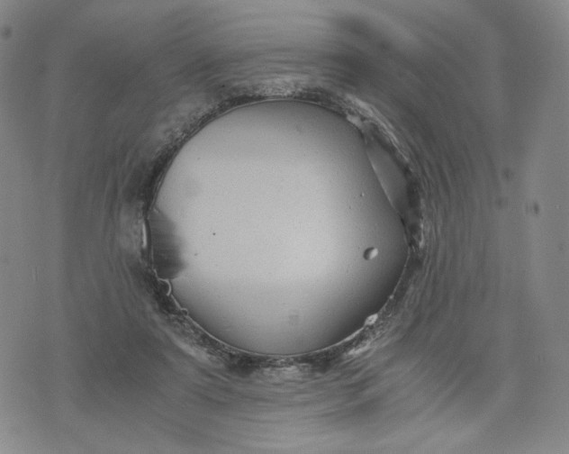 X0000076310307200610161625