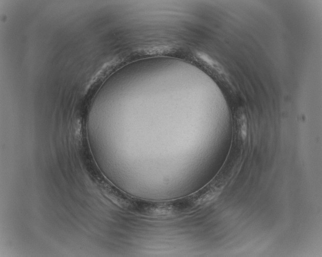 X0000076310308200610161625