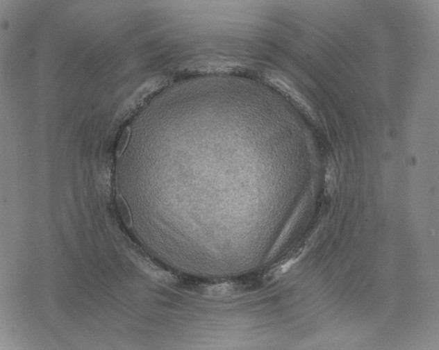 X0000076310309200610161625