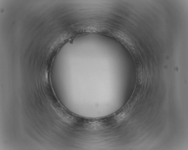 X0000076310310200610161625