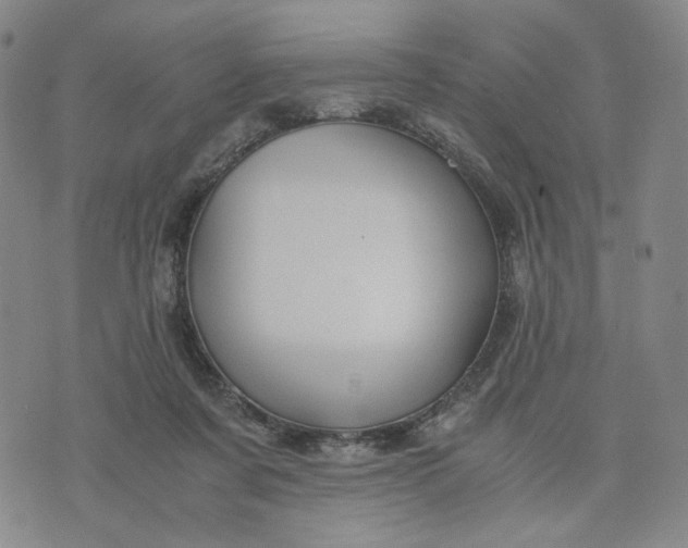 X0000076310311200610161625