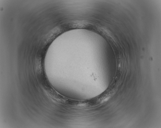 X0000076310312200610161625