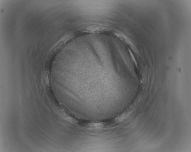 X0000076310313200610161625