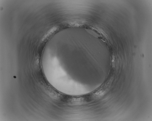 X0000076310314200610161625